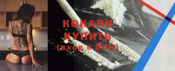 бошки Гусев