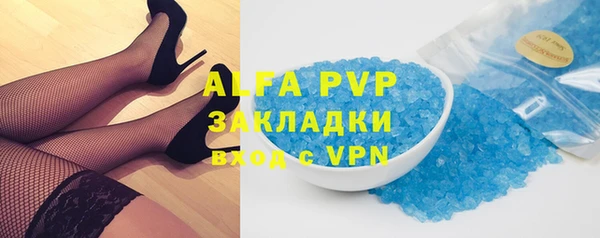 бошки Гусев
