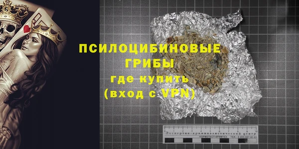 бошки Гусев