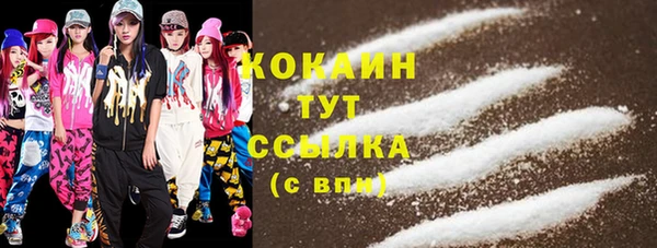 бошки Гусев